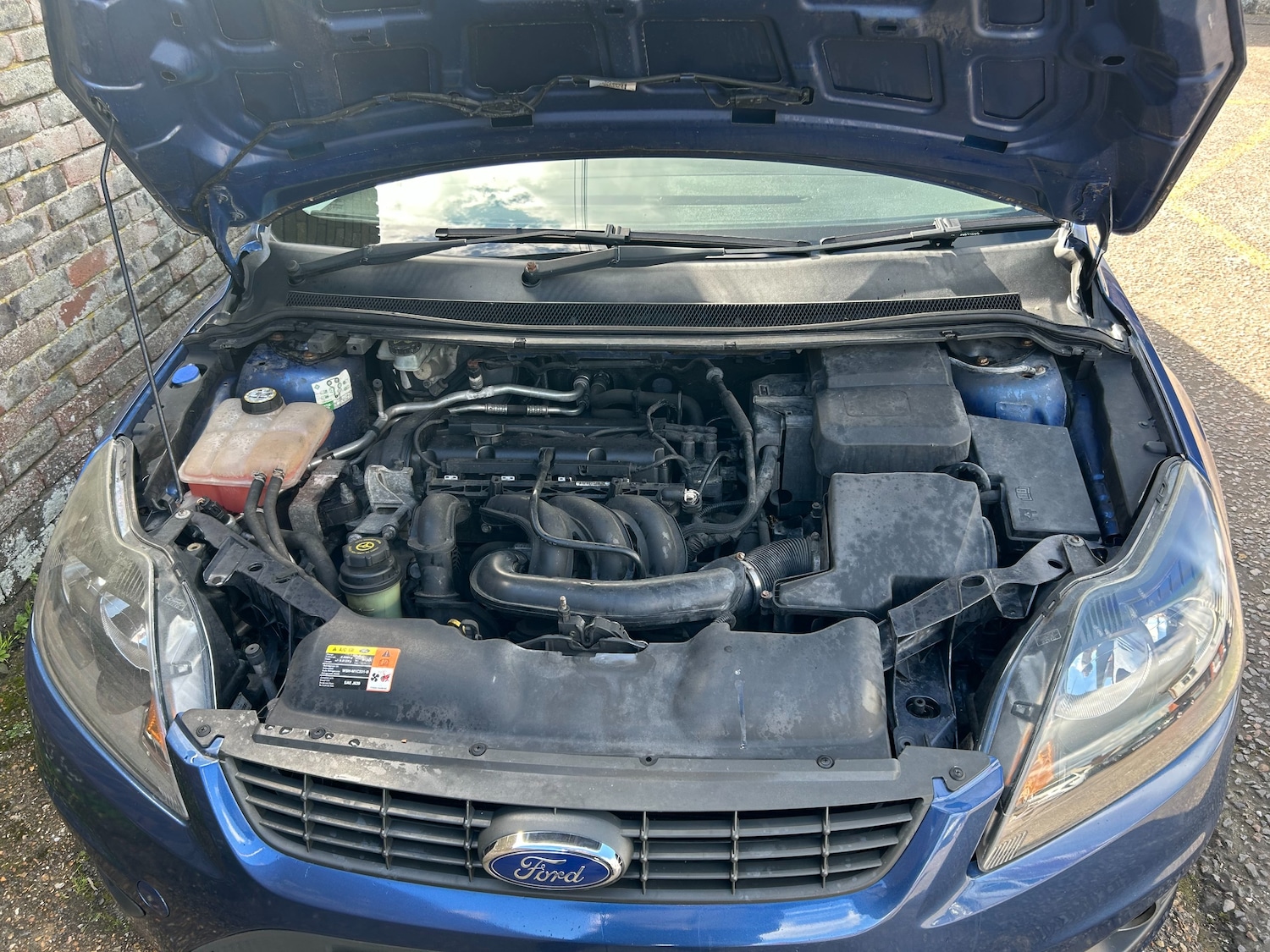 Used Ford Focus 2009 for sale - 78015970: Photo 19