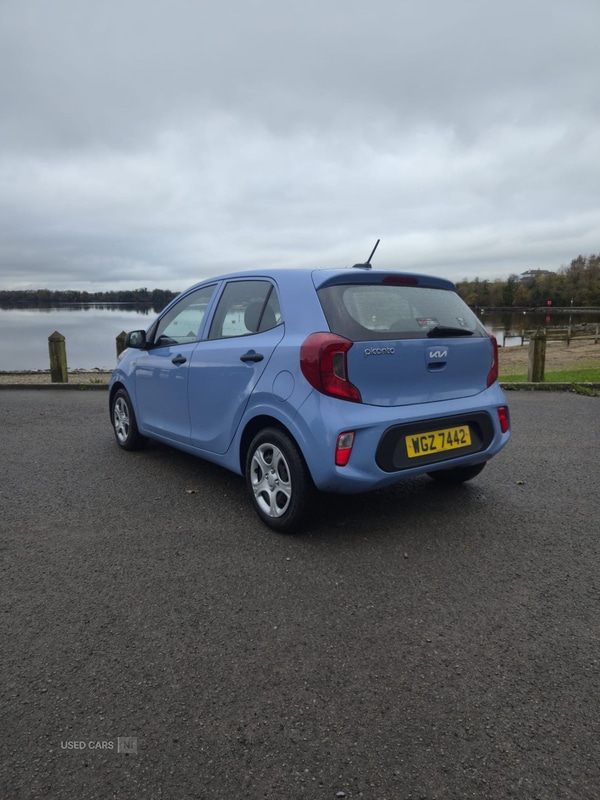 Used Kia Picanto 2022 for sale - 76486123: Photo 3