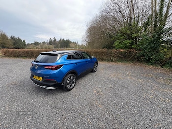 Used Vauxhall Grandland X 2020 for sale - 78158048: Photo