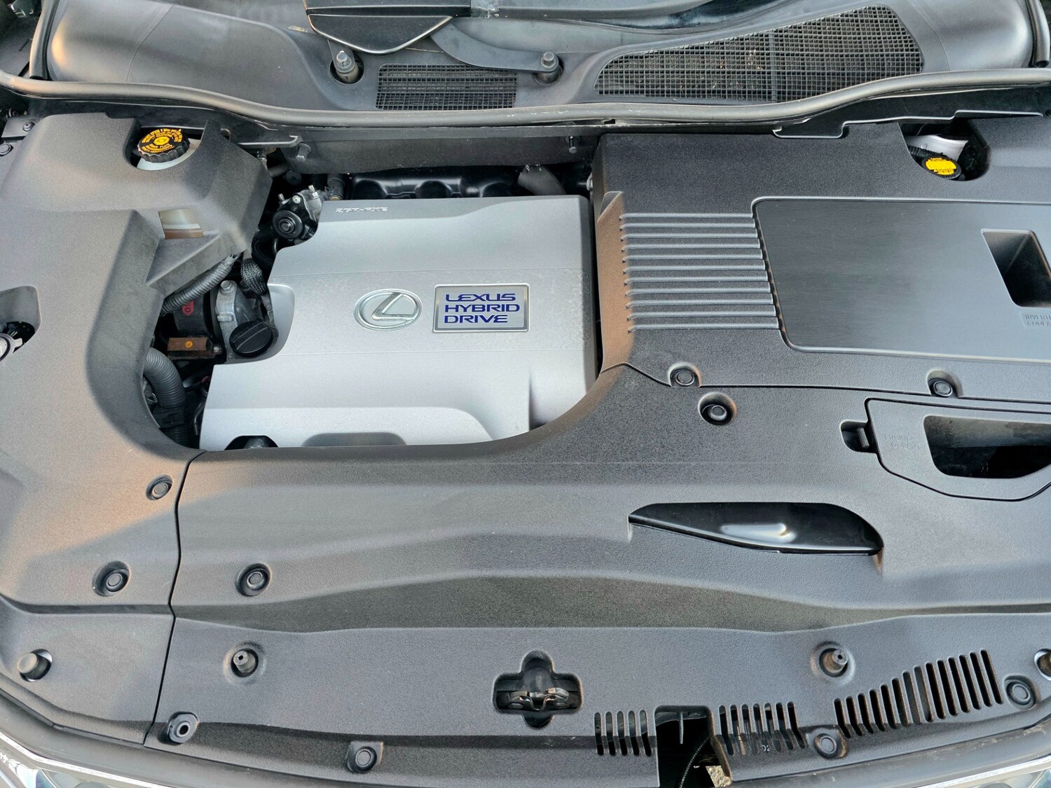 Used Lexus RX 2014 for sale - 77997195: Photo 15