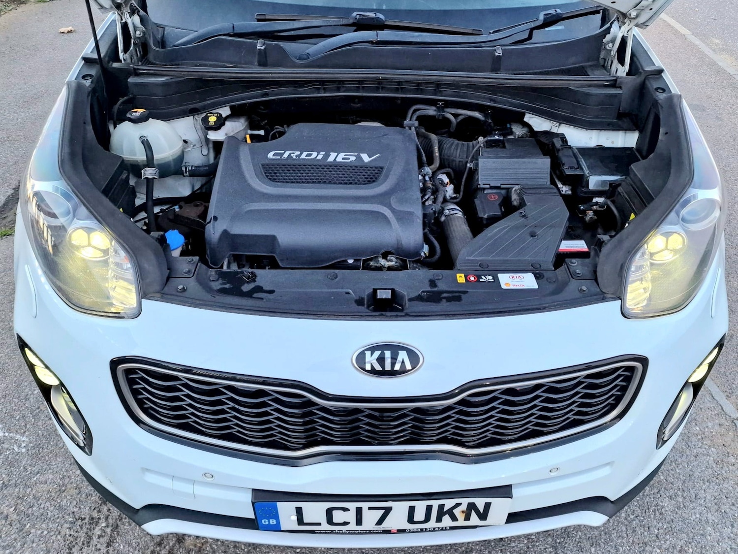 Used Kia Sportage 2017 for sale - 76314105: Photo 11