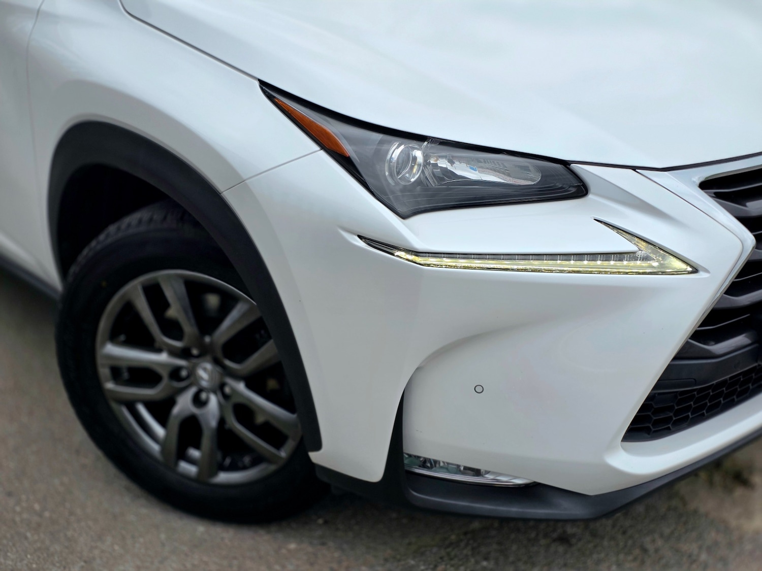 Used Lexus NX 2016 for sale - 77935247: Photo 9