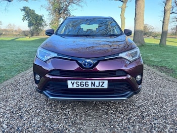 Used Toyota RAV4 2016 for sale - 77007526: Photo