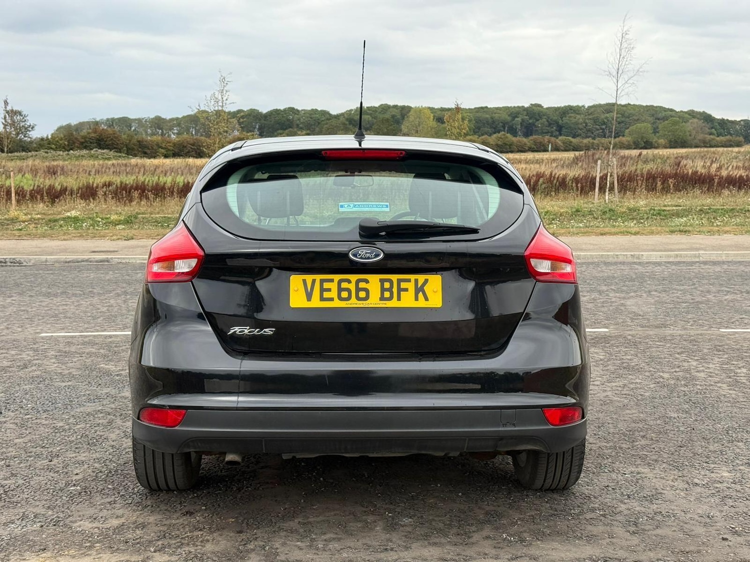 Used Ford Focus 2016 for sale - 77400606: Photo 4