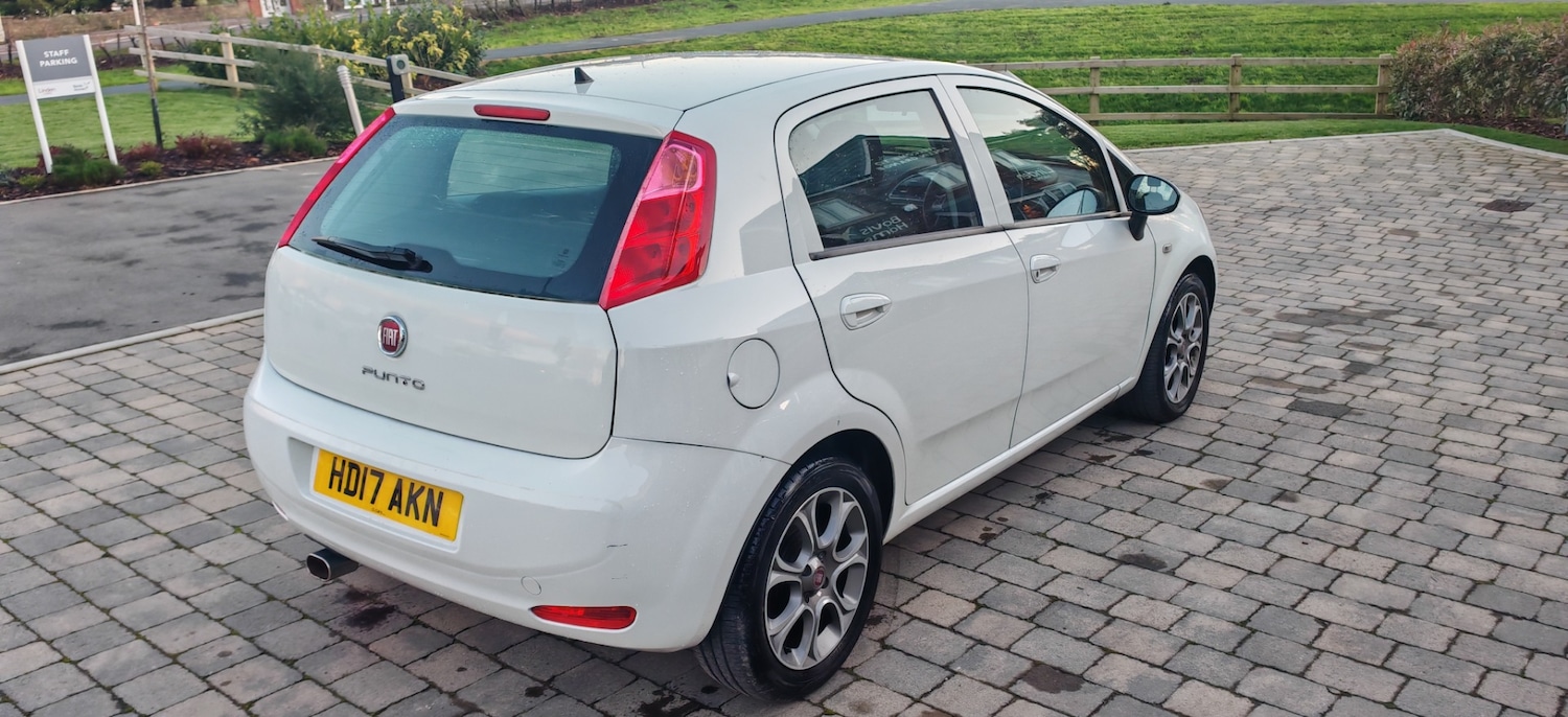 Used Fiat Punto 2017 for sale - 76878000: Photo 6