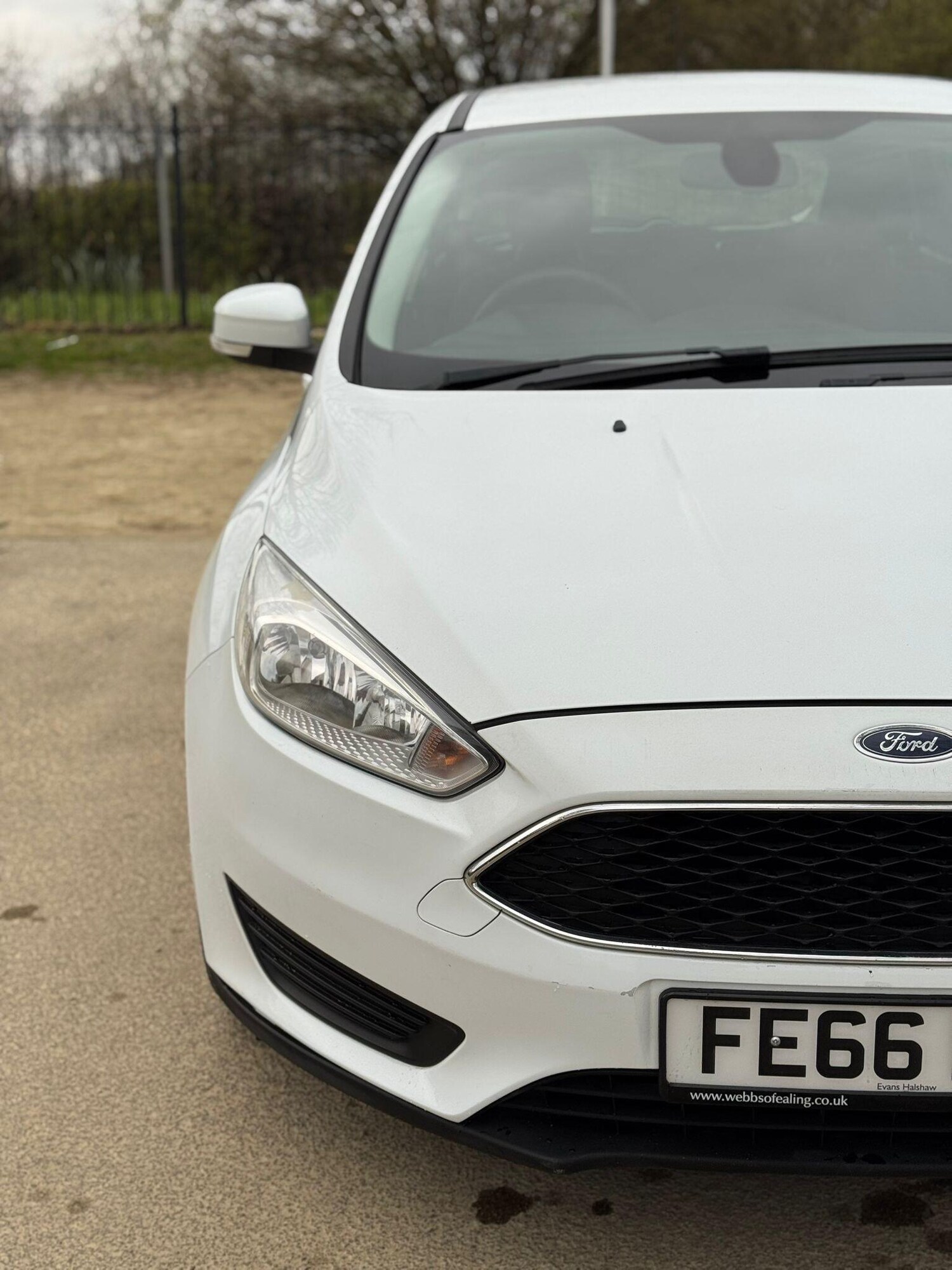 Used Ford Focus for sale - 78092288: Photo 10
