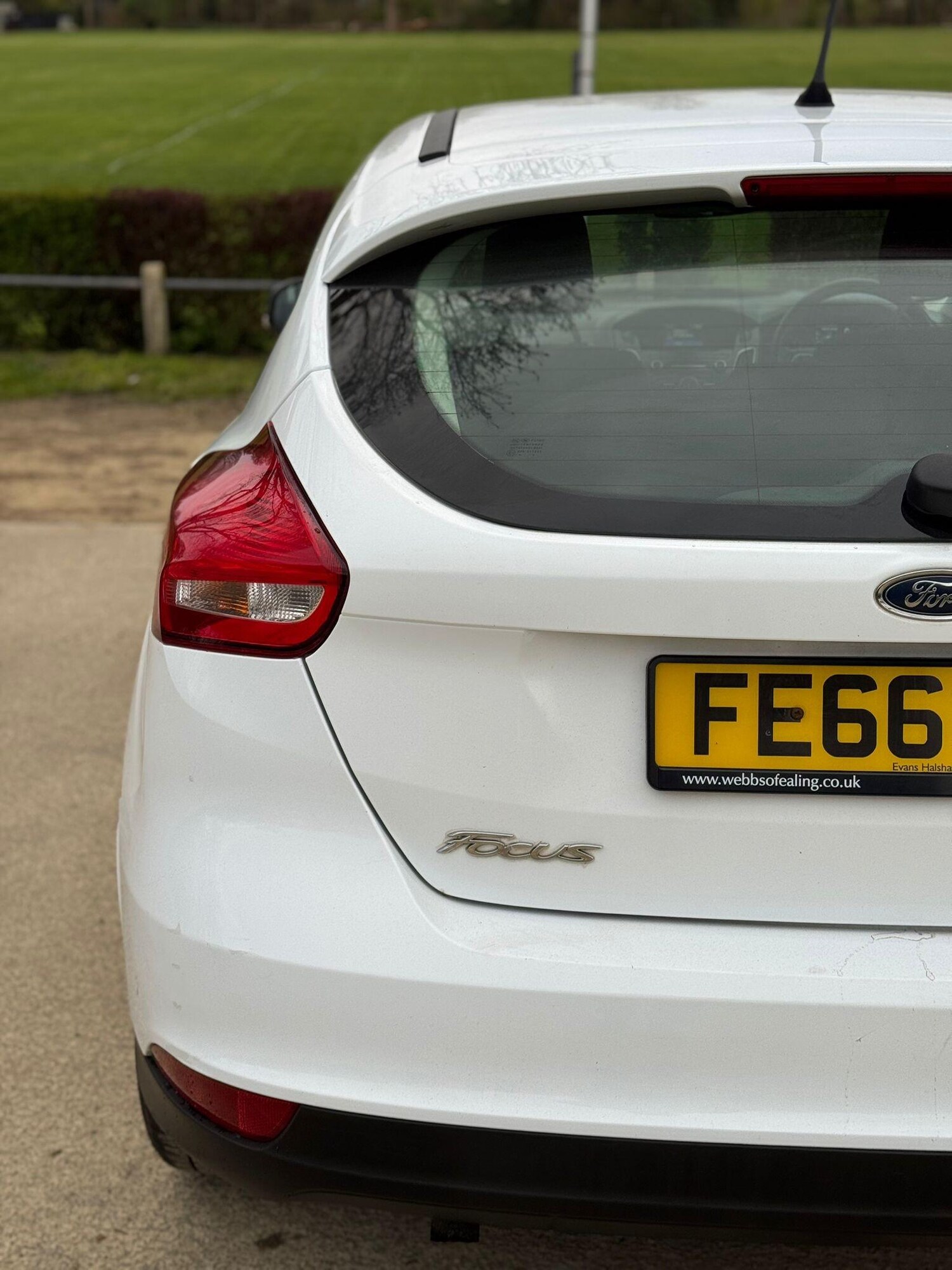 Used Ford Focus for sale - 78092288: Photo 12