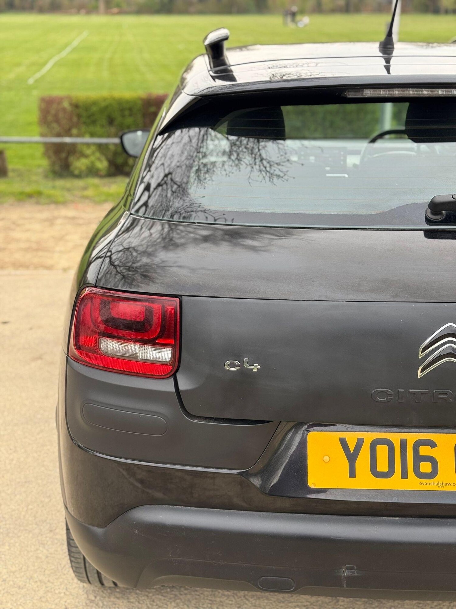 Used Citroen C4 Cactus for sale - 78092275: Photo 12