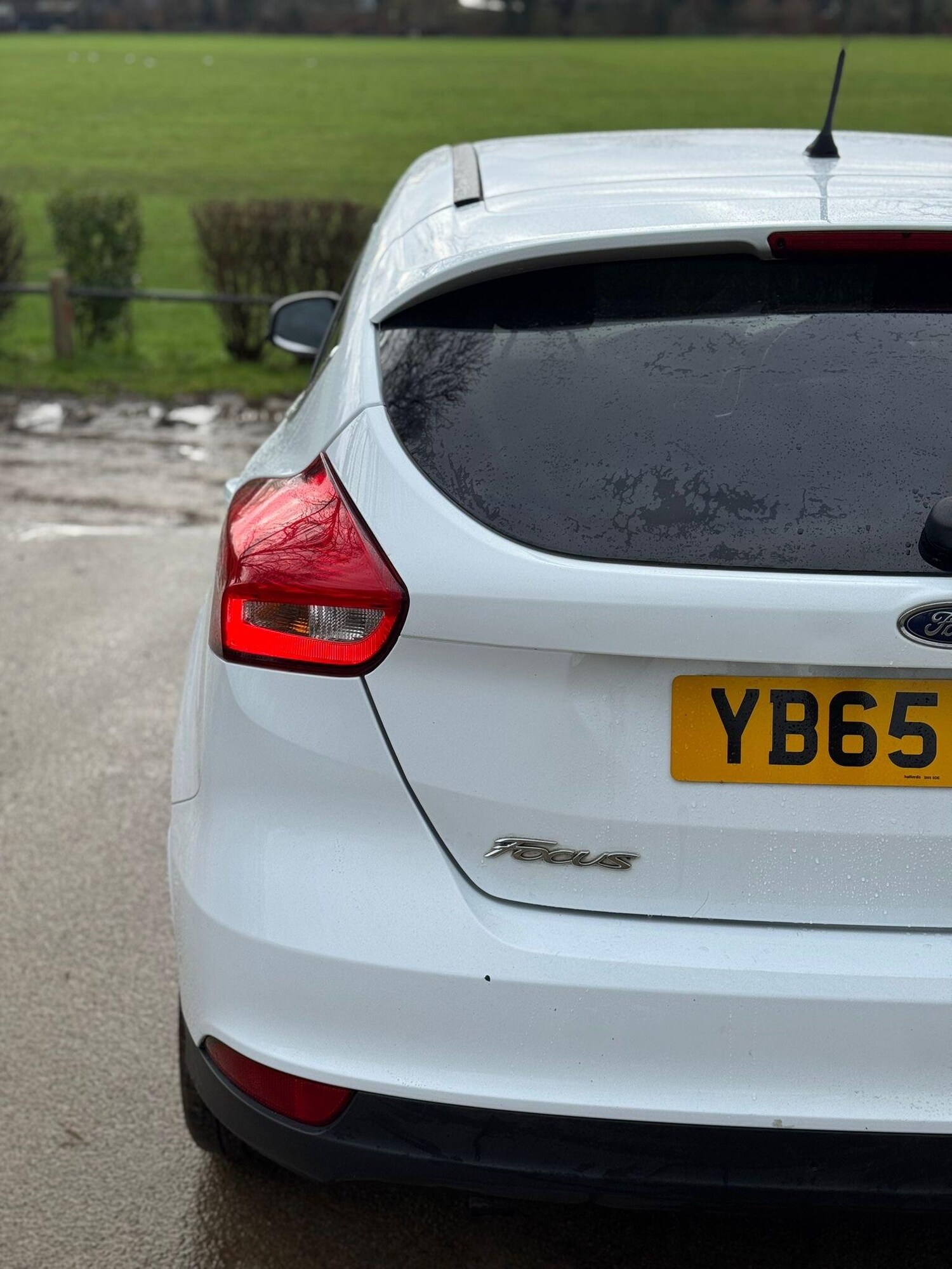 Used Ford Focus for sale - 78092365: Photo 12