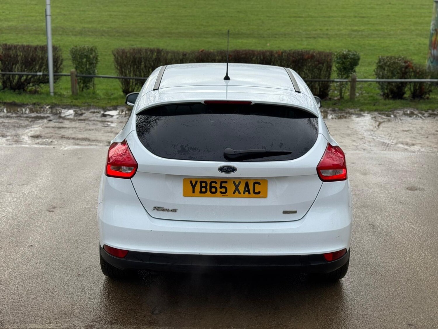 Used Ford Focus for sale - 78092365: Photo 15