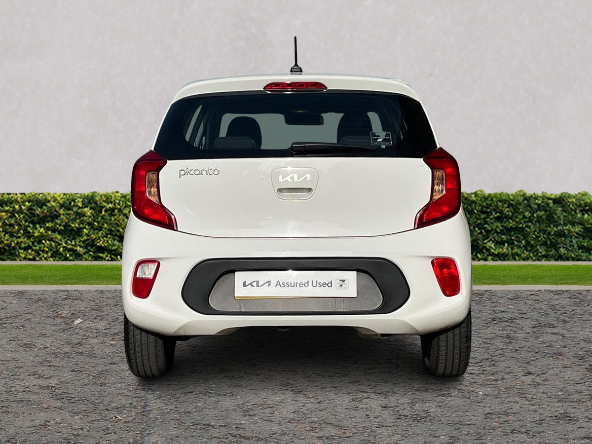 Used Kia Picanto 2023 for sale - 77884673: Photo 4