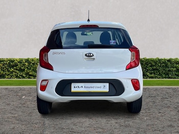 Used Kia Picanto 2019 for sale - 78179841: Photo