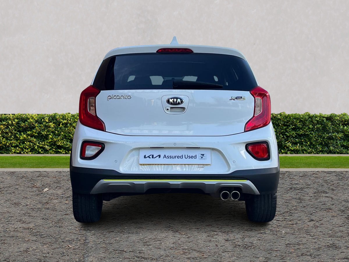 Used Kia Picanto 2019 for sale - 77884675: Photo 4