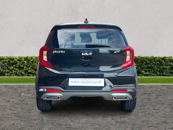 Used Kia Picanto 2023 for sale - 78392820: Photo