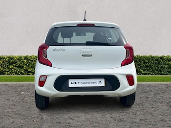 Used Kia Picanto 2023 for sale - 78158753: Photo