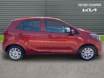 Used Kia Picanto 2019 for sale - 79564935: Photo