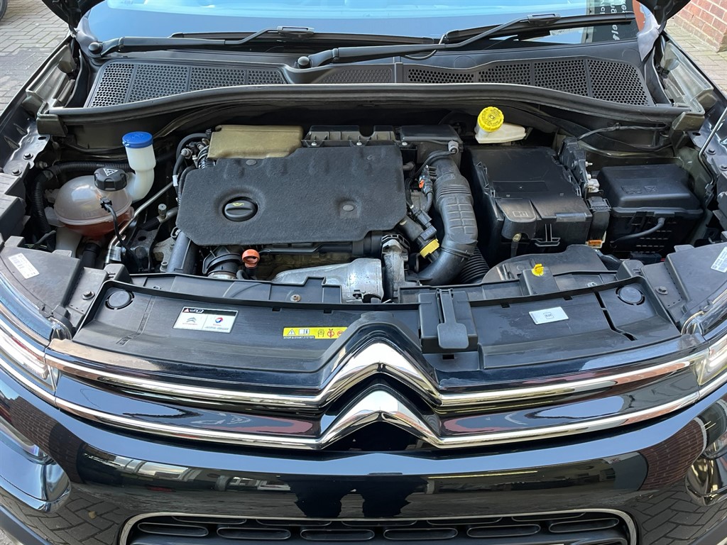 Used Citroen C4 Cactus 2019 for sale - 77877940: Photo 17