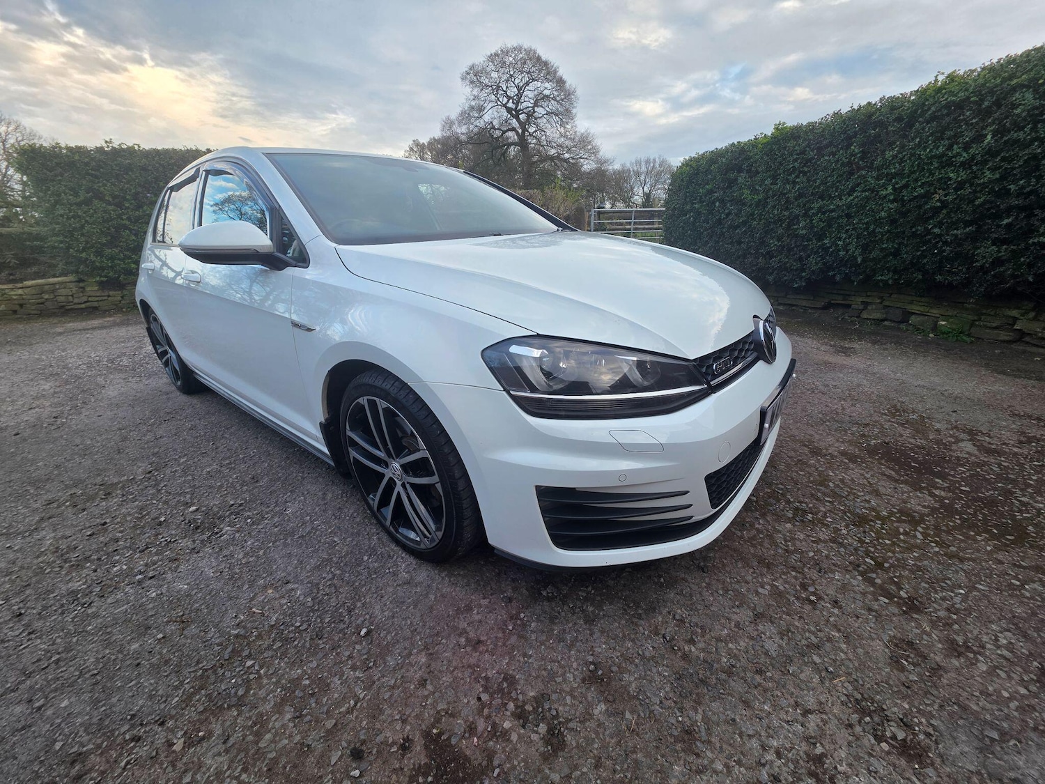 Used Volkswagen Golf for sale - 78214118: Photo 24