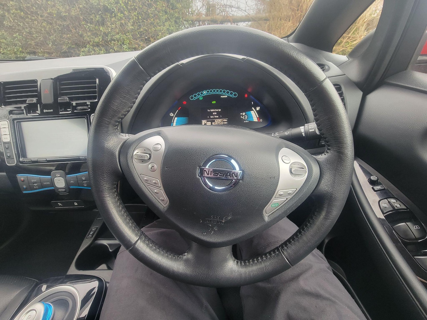 Used Nissan Leaf for sale - 78007129: Photo 30