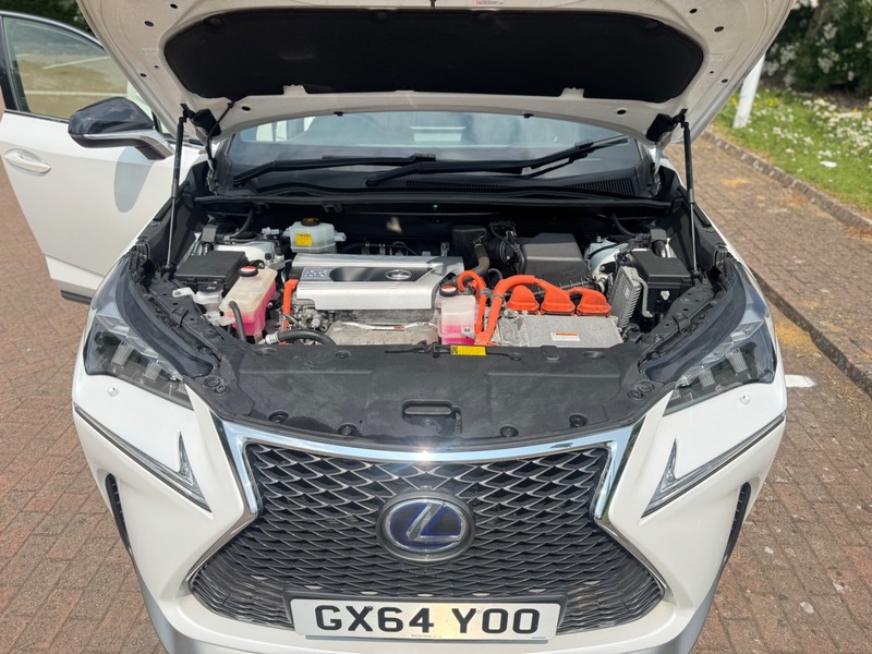 Used Lexus NX 2014 for sale - 77477955: Photo 35