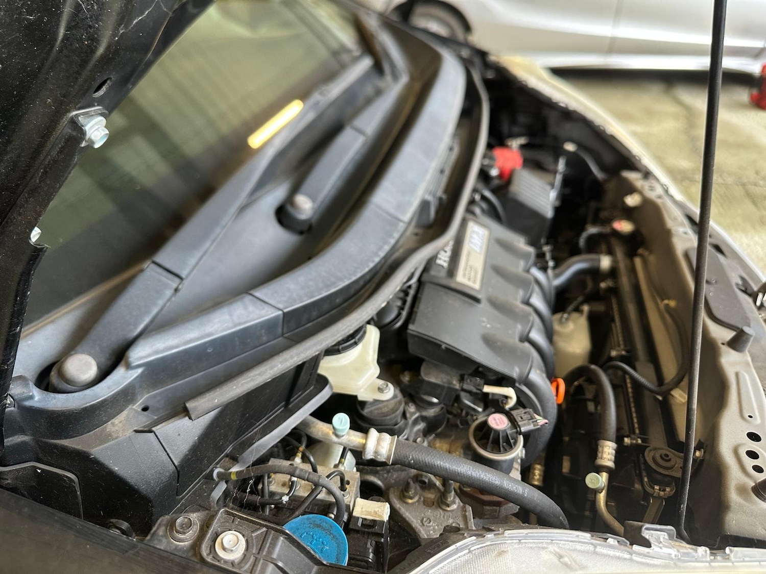 Used Honda Shuttle 2024 for sale - 77701188: Photo 18