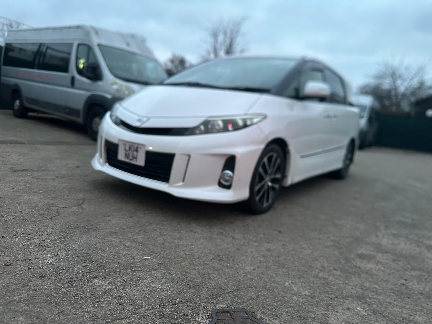 Used Toyota Estima 2025 for sale - 77517193: Photo 3