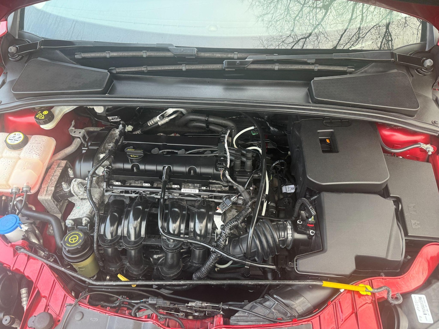 Used Ford Focus 2014 for sale - 76714590: Photo 25