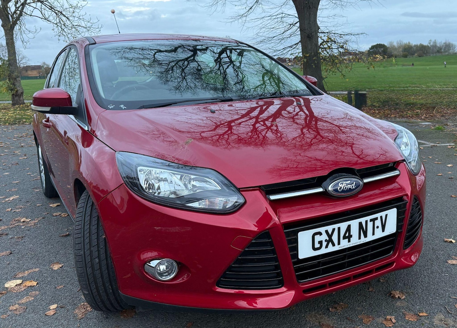 Used Ford Focus 2014 for sale - 76714590: Photo 7