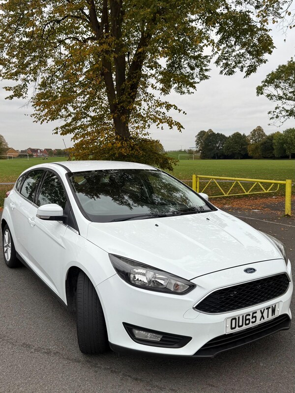 Used Ford Focus 2015 for sale - 76306669: Photo 5
