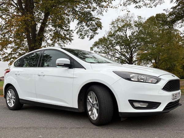 Used Ford Focus 2015 for sale - 76306669: Photo 7