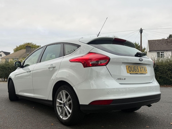 Used Ford Focus 2015 for sale - 76306669: Photo 9