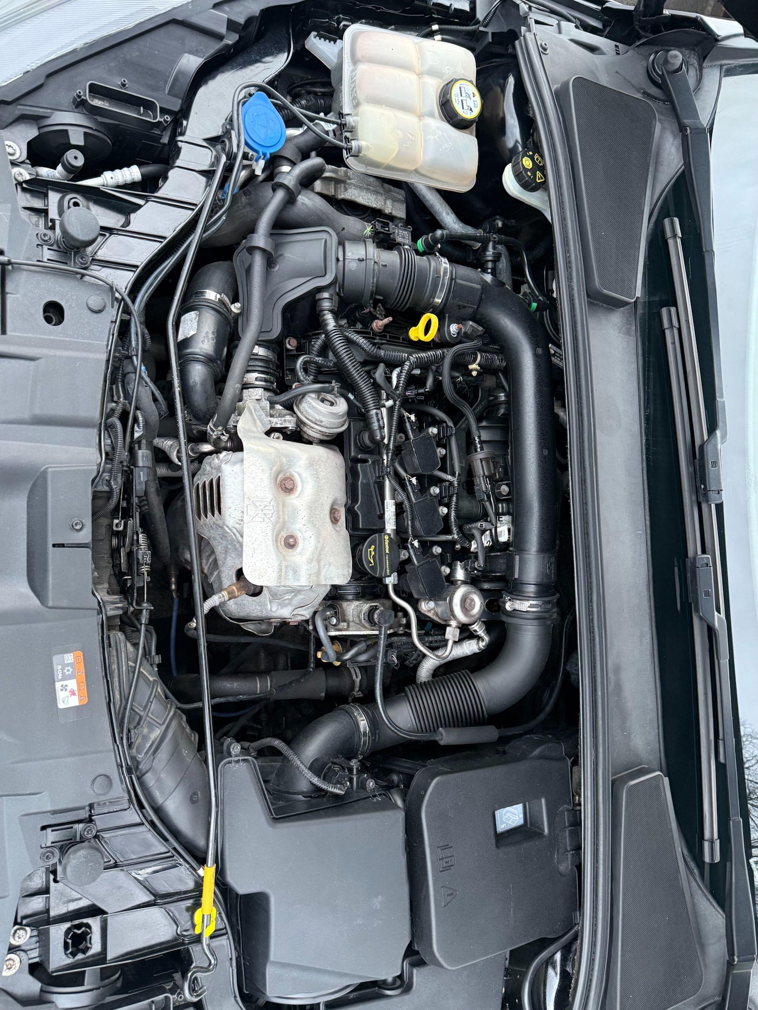 Used Ford Focus 2017 for sale - 76592761: Photo 21