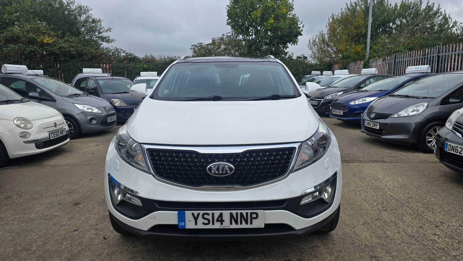 Used Kia Sportage 2014 for sale - 76305684: Photo 8