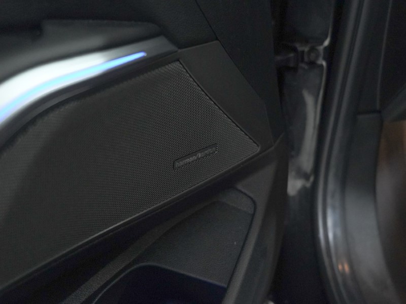 Used BMW 3 Series 2019 for sale - 77679003: Photo 52