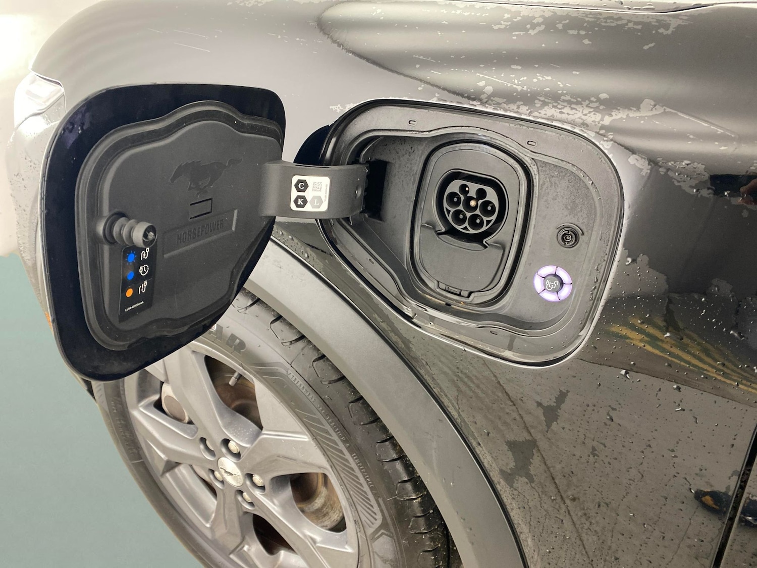 Used Ford Mustang Mach-E 2022 for sale - 77149112: Photo 25