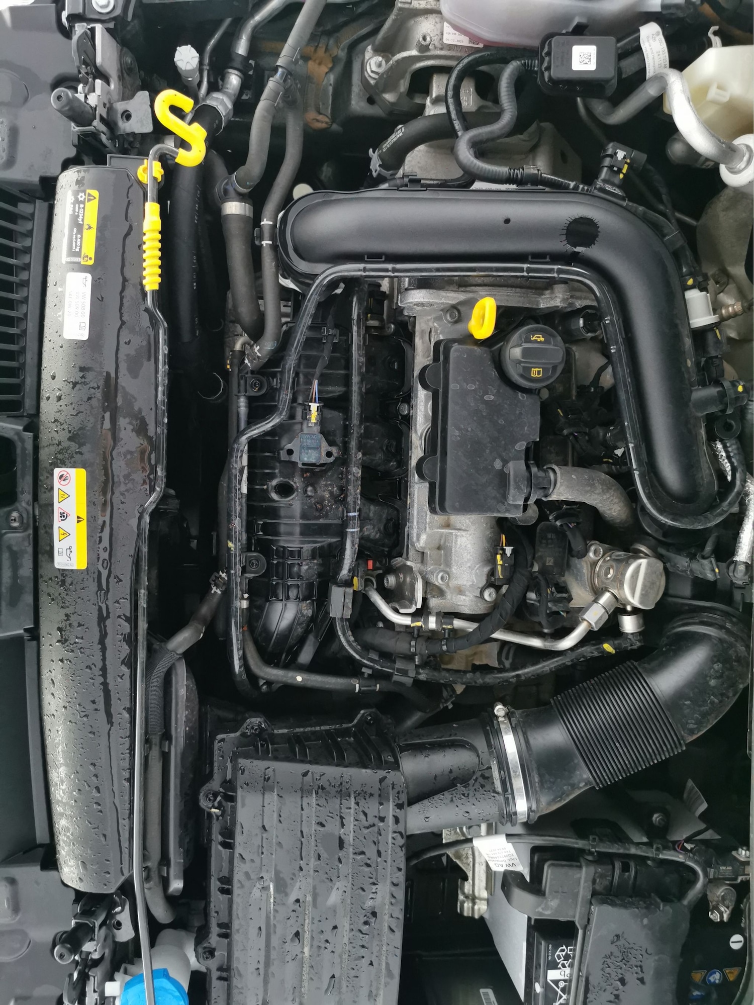 Used SEAT Ibiza 2024 for sale - 77962894: Photo 32