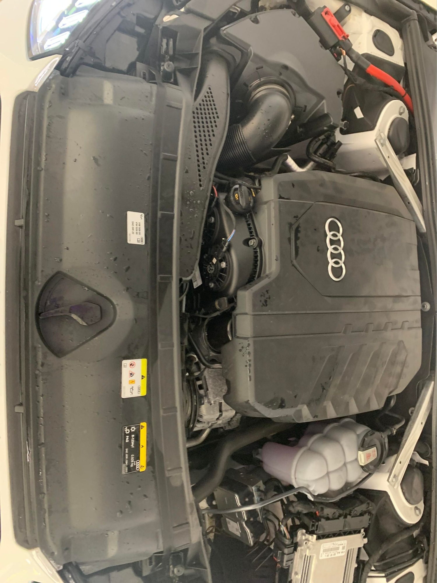 Vehicle 44