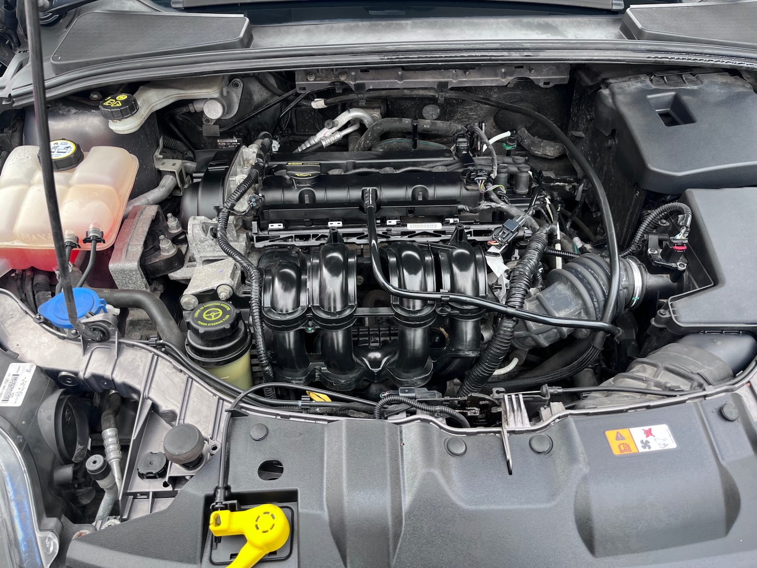 Used Ford Focus 2013 for sale - 76174580: Photo 11