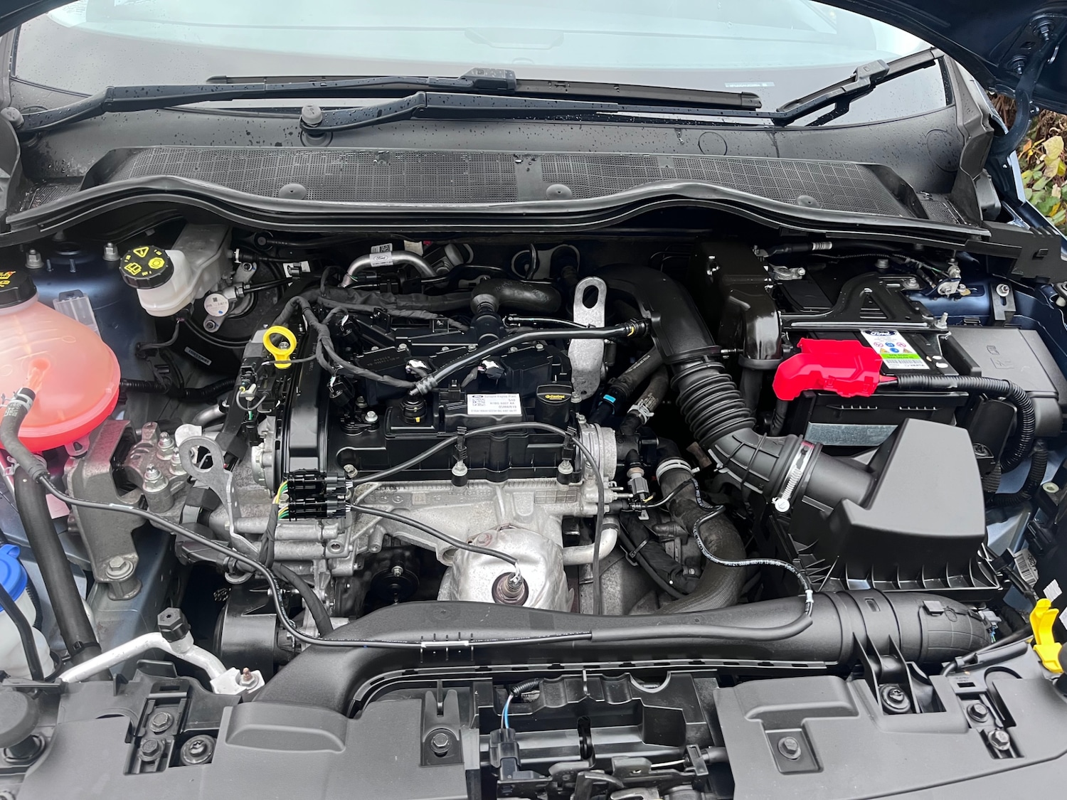 Used Ford Fiesta 2019 for sale - 76975408: Photo 11