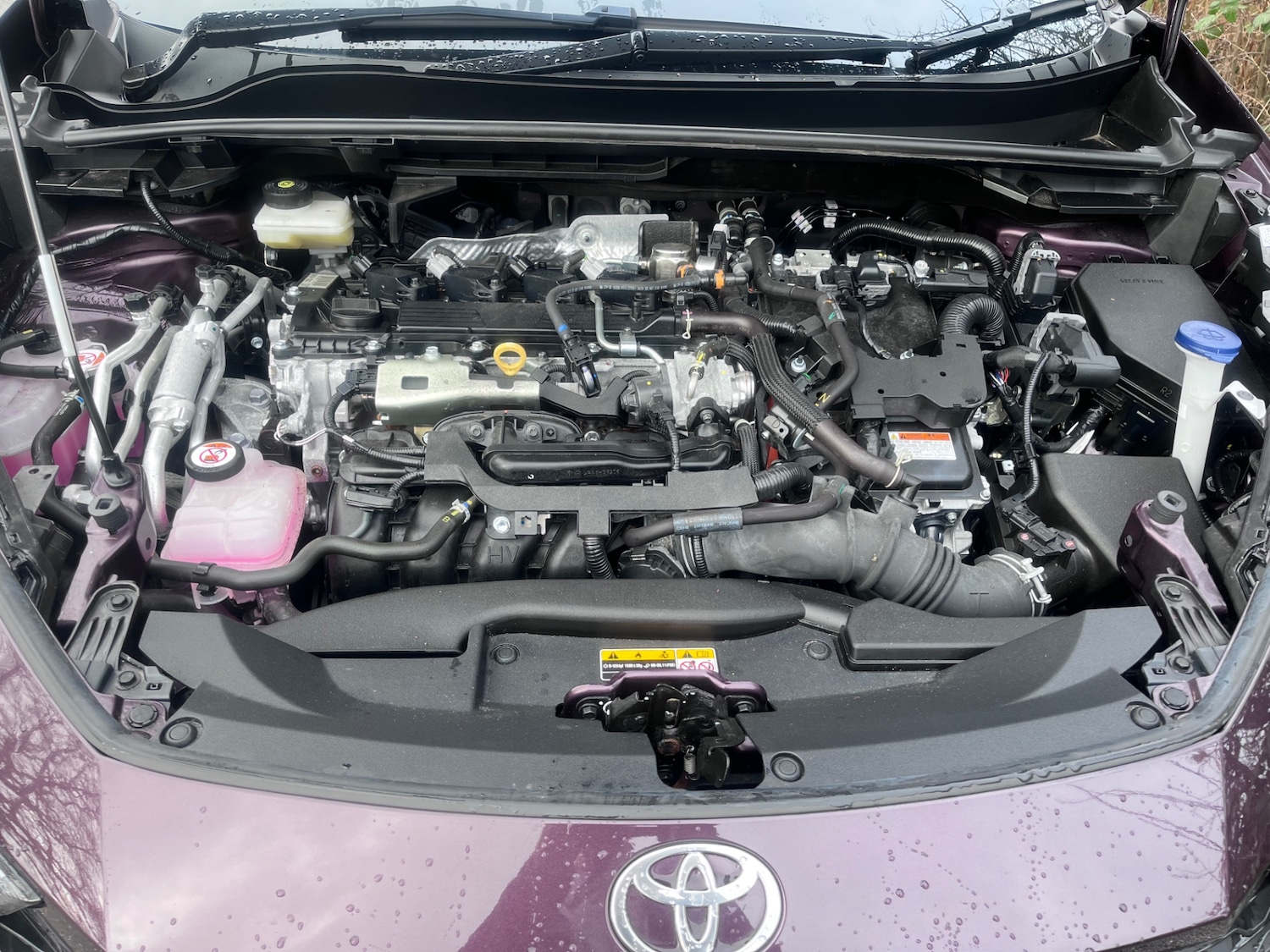 Used Toyota C-HR 2024 for sale - 77020668: Photo 11