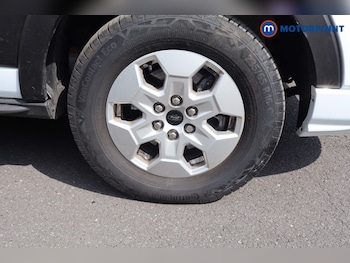 Used Ford Transit 2024 for sale - 78737007: Photo
