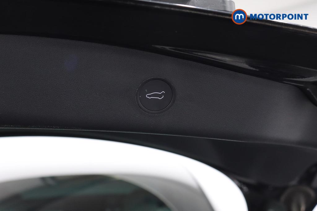 Used Tesla Model 3 2021 for sale - 77500592: Photo 28