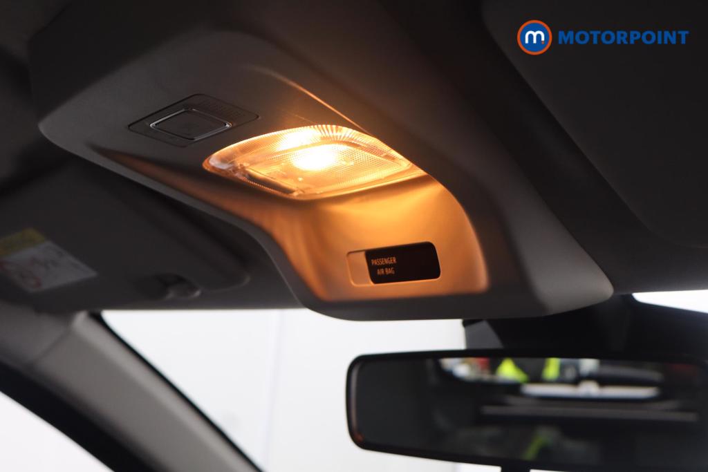 Used Dacia Spring 2024 for sale - 76980261: Photo 14