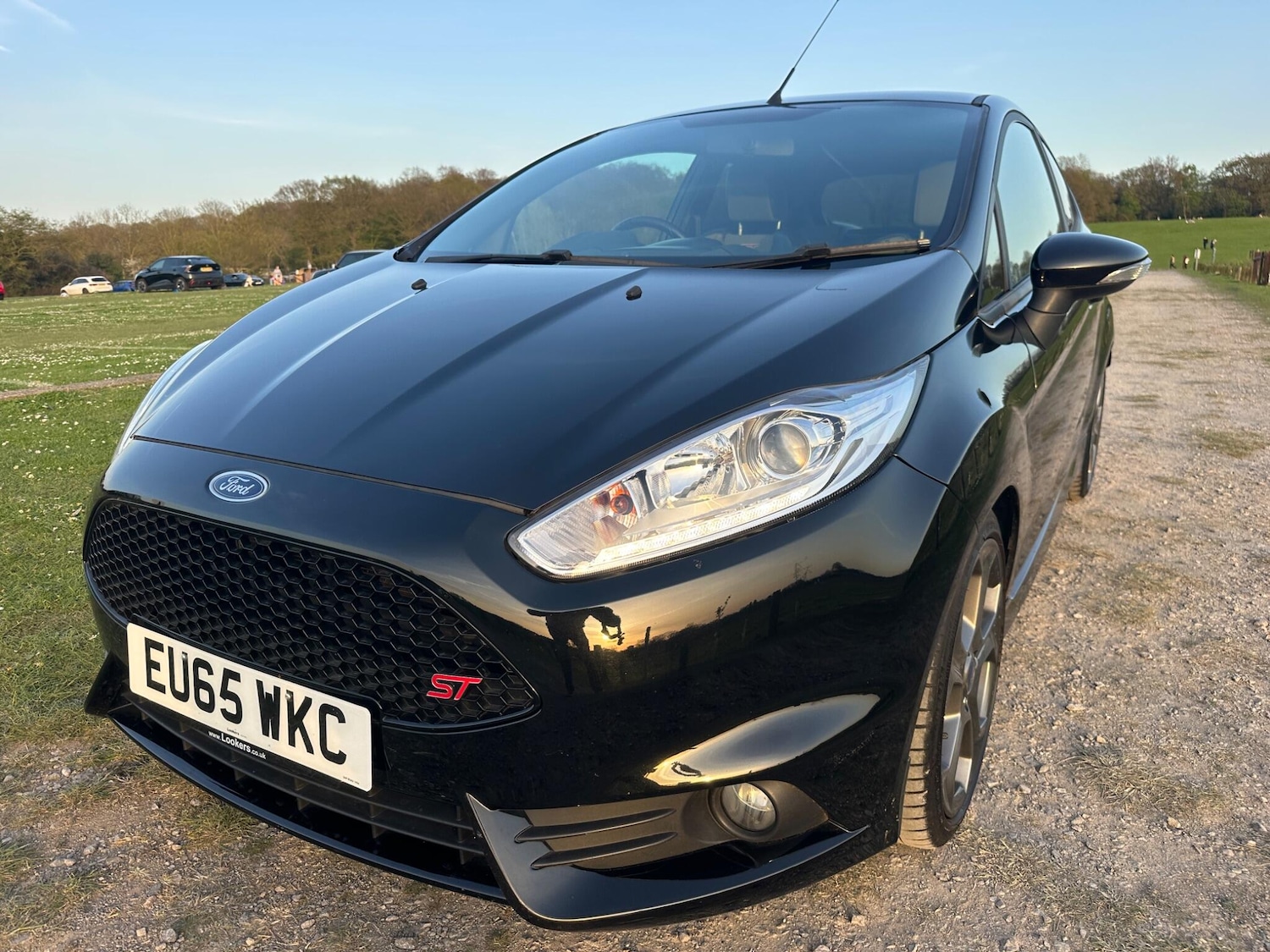 Used Ford Fiesta 2015 for sale - 78170944: Photo 5