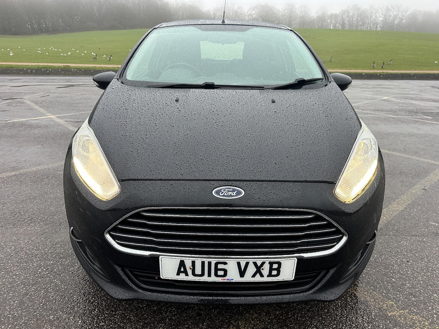 Used Ford Fiesta 2016 for sale - 77156758: Photo 4