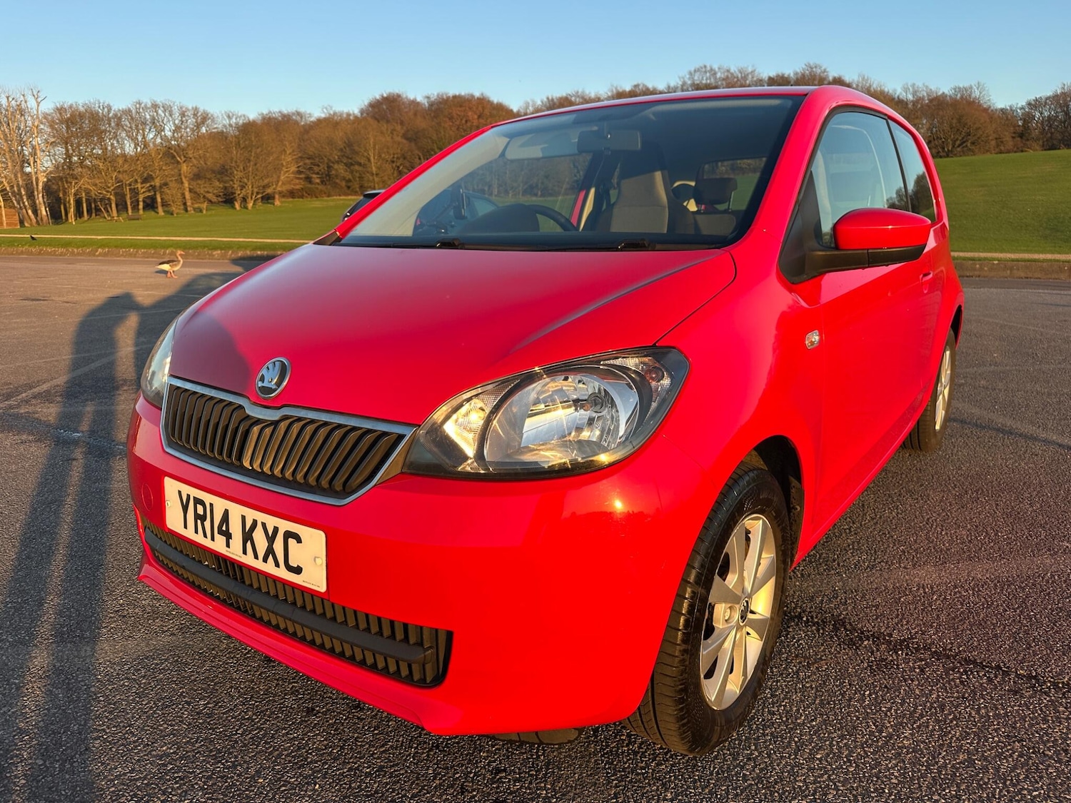 Used Skoda Citigo for sale - 77723194: Photo 5