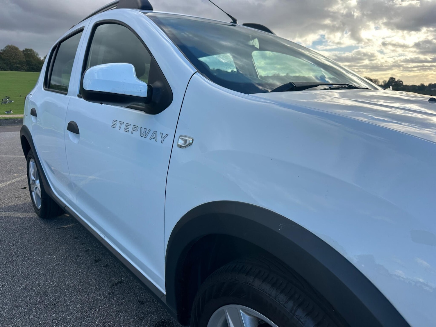 Used Dacia Sandero Stepway 2015 for sale - 76371058: Photo 28