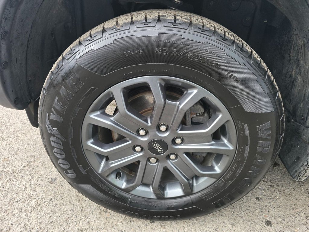 Used Ford Ranger 2023 for sale - 77990609: Photo 44