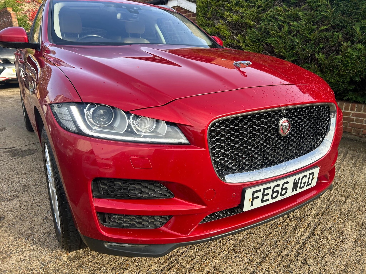 Used Jaguar F-Pace 2016 for sale - 76409467: Photo 5