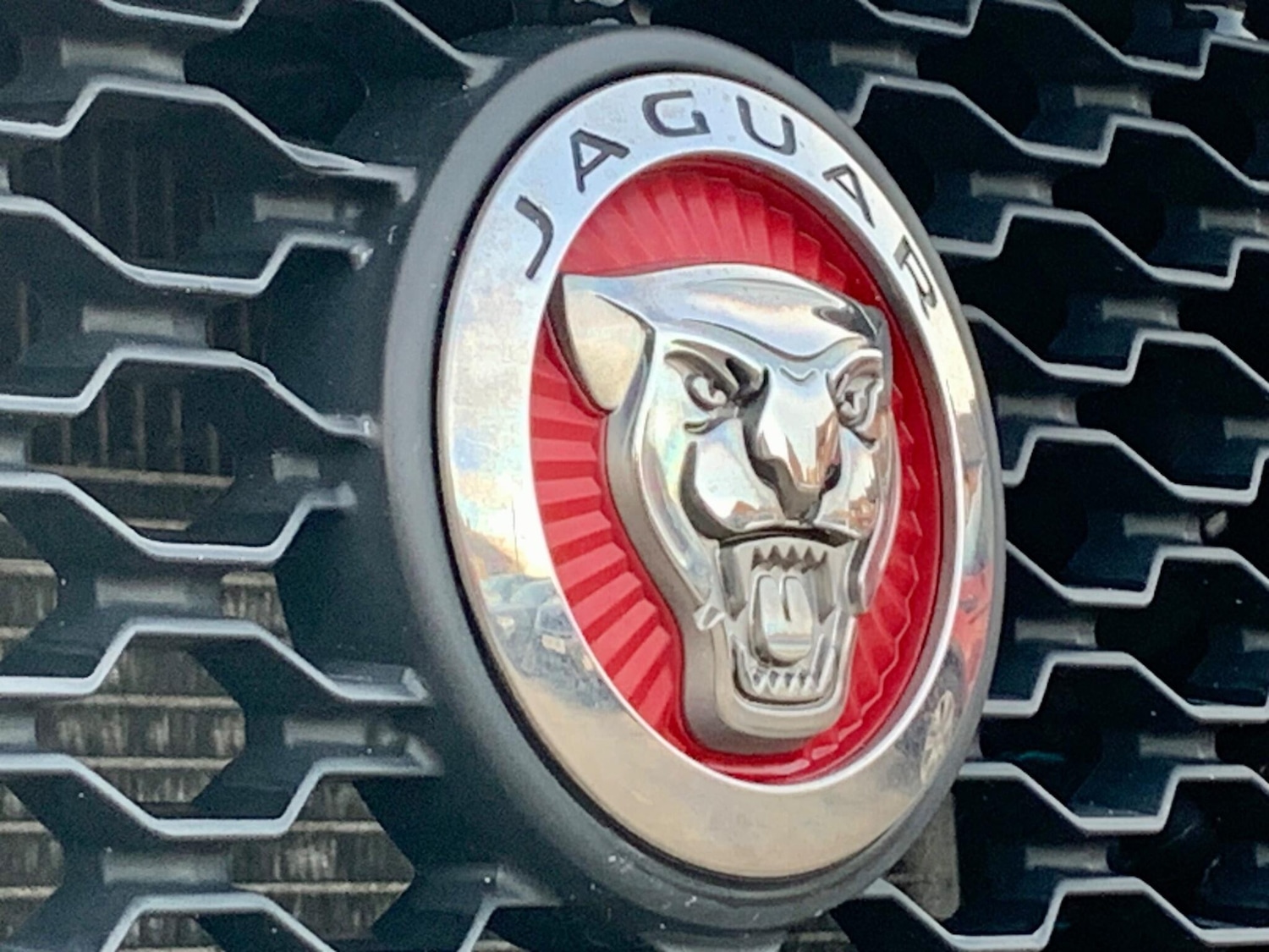 Used Jaguar F-Pace 2016 for sale - 76512906: Photo 51